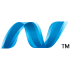 Microsoft dot net development