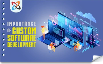 Importance of Custom Software Development